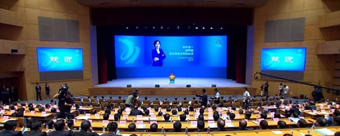 關于白蟻行為學的研究